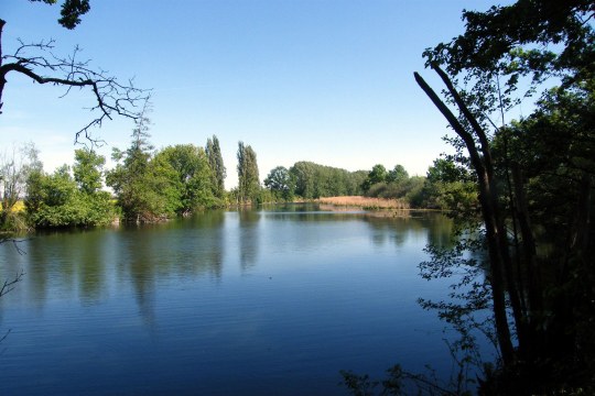 LBV-Schutzgebiet-Grafenrheinfelder-Altmain