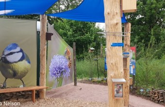 Ein Infostand mit bunten Tafeln über Vögel und Bienen, präsentiert vom Landesbund für Vogel- und Naturschutz in Bayern.