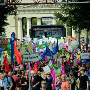 Demozug vom Königsplatz zum Odeonsplatz in München | © LBV