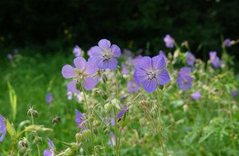 Stadt München | © Petra Bauer (Stadt München)