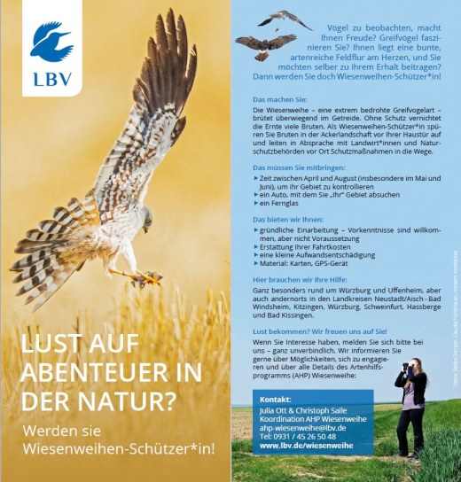 Flyer ehrenamtliches Engagement Wiesenweihen-Schutz