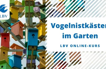 Startseite Online-Kurs Nistkästen