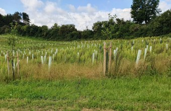 Aichach-Friedberg | © Thomas Ruf (Aichach-Friedberg)