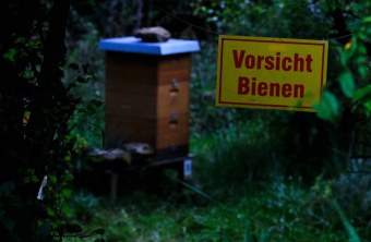 Würzburg | © Tim Rüterbories (Würzburg)