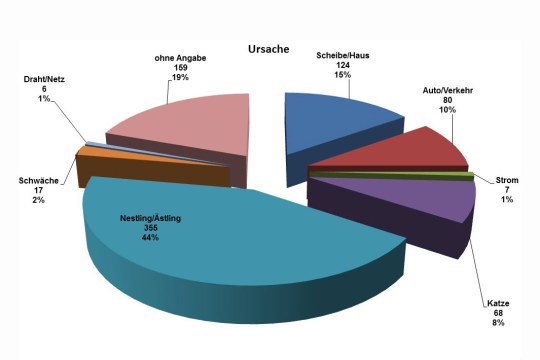 Todesursachen der Vögel in Regenstauf 2017: 44 % Ästling/Nestling, 8 % Katzen, 10 % Auto/Verkehr, 15 % Schreibe/Haus, 1% Draht/Netz, 2 % Schwäche, 1 % Strom | © LBV