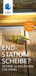 Cover LBV-Flyer Endstation Scheibe