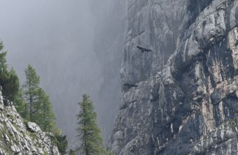 Wally und Bavaria - 6 - kleiner | © Michael Wittmann