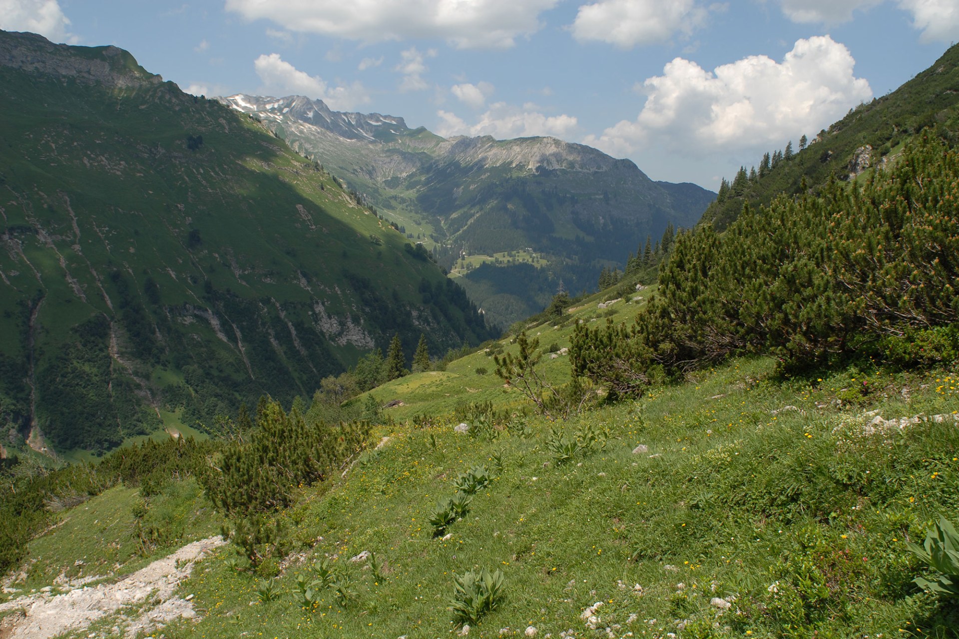 Allgäuer Hochalpen | © Henning Werth