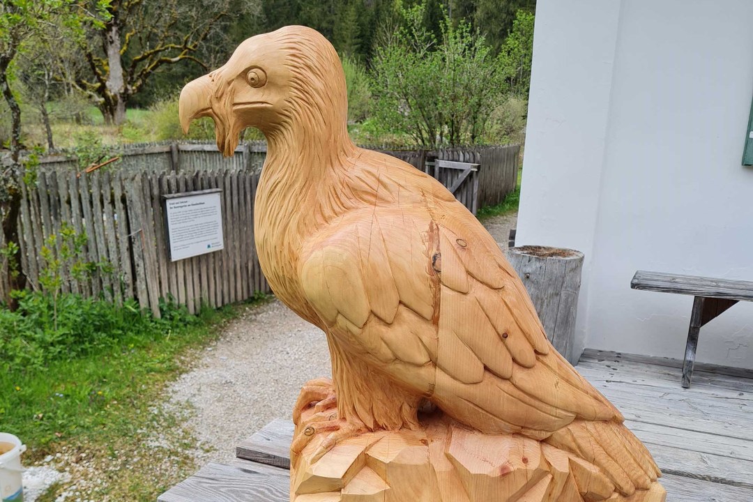 Bartgeier Statue für den Nationalpark |© D. Schuhwerk