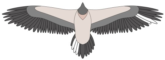 Bleichmuster Bavaria