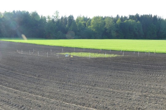 Umzäunung von Kiebitzgelegen, Kiebitzfenster | © Josef Kain