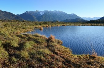 LBV-Schutzgebiet Murnauer Moos | ©  Dr. Olaf Broders