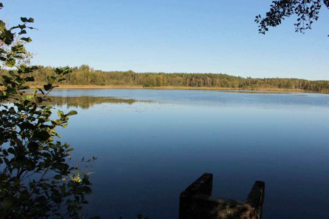 LBV-Schutzgebiet-Ausblick_Landsknechtswehr-Süd