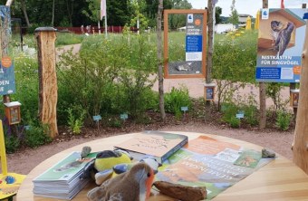 Ein Infostand des LBV zeigt Materialien zur Förderung von Wildbienen und Singvögeln in einem naturnahen Garten.