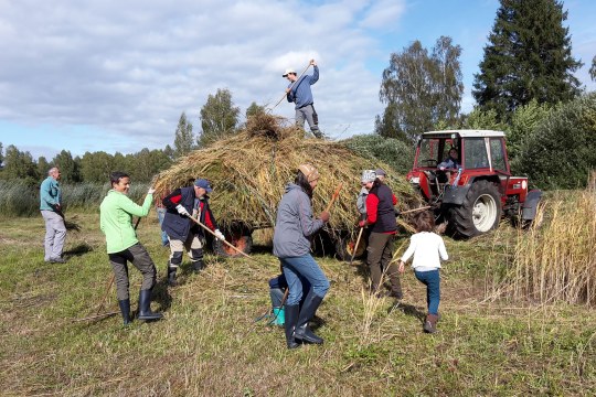 Ehrenamtliche rechen Gras auf Wiese. Im Hintergrund Traktor mit Anhänger | © C. Stoll