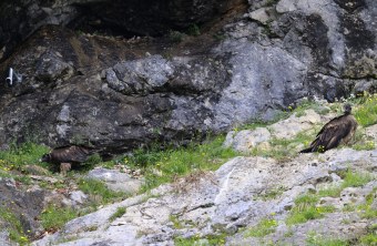 Recka und Dagmar | © Markus Leitner