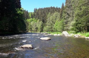 Schutzgebiet Schwarzer Regen | © Malvina Hoppe
