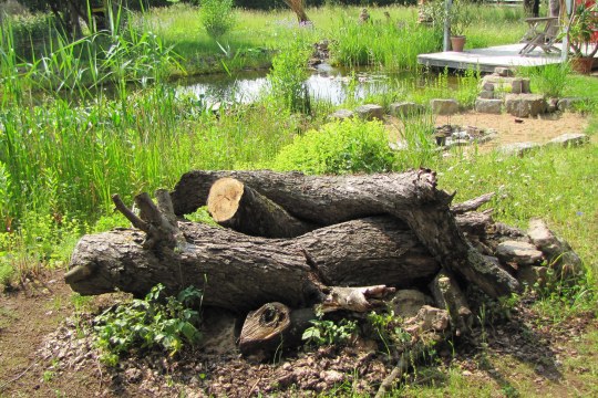 Totholz liegt im Garten, dahinter ein naturnaher Gartenteich und eine Terrasse | © Birgit Helbig