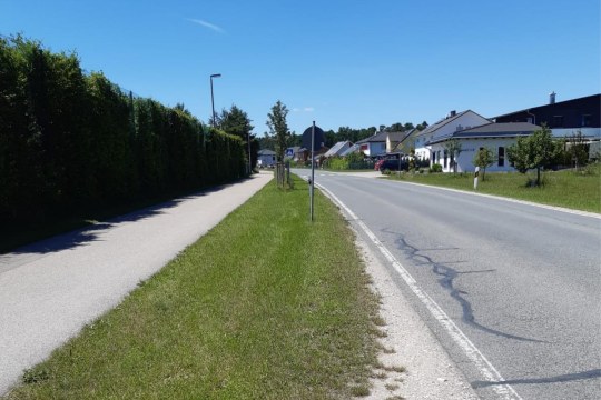 Kurz gemähtes Straßenrandgrün | © Patricia Danel