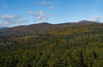 Ansicht von oben auf den Bayerischen Wald | © Marcus Bosch