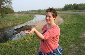 Friederike Herzog entlässt einen weißrussischen Kuckuck zurück in die Freiheit | © Dr. P. Atkinson