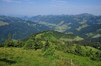Gelbhansekopf bei Balderschwang | © LBV