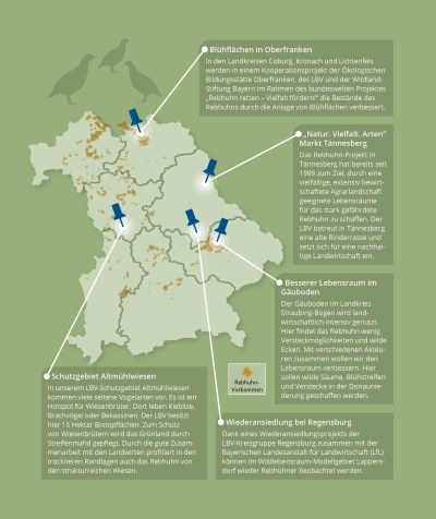 Schutzmaßnahmen | LBV