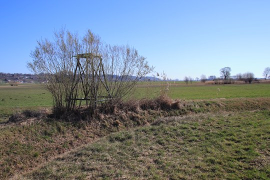 Jägerhochsitz im Königsauer Moos | © Jochaim Aschenbrenner
