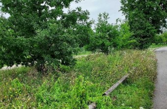 Stadt München | © Martin Frede (Stadt München)