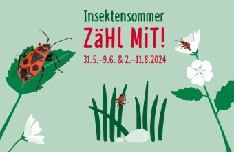 Insektensommer | © LBV