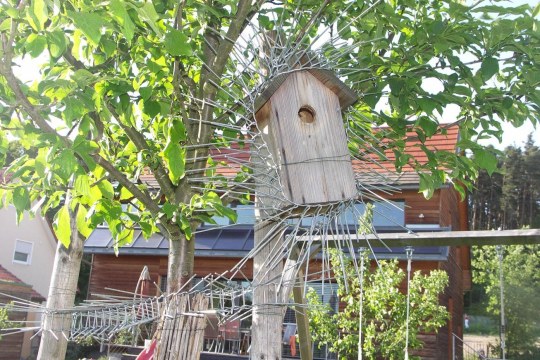 Nistkasten mit einem langen Stacheldraht um ihn herum, damit Beutegreifer wie z.B. Katzen nicht herankommen | © LBV