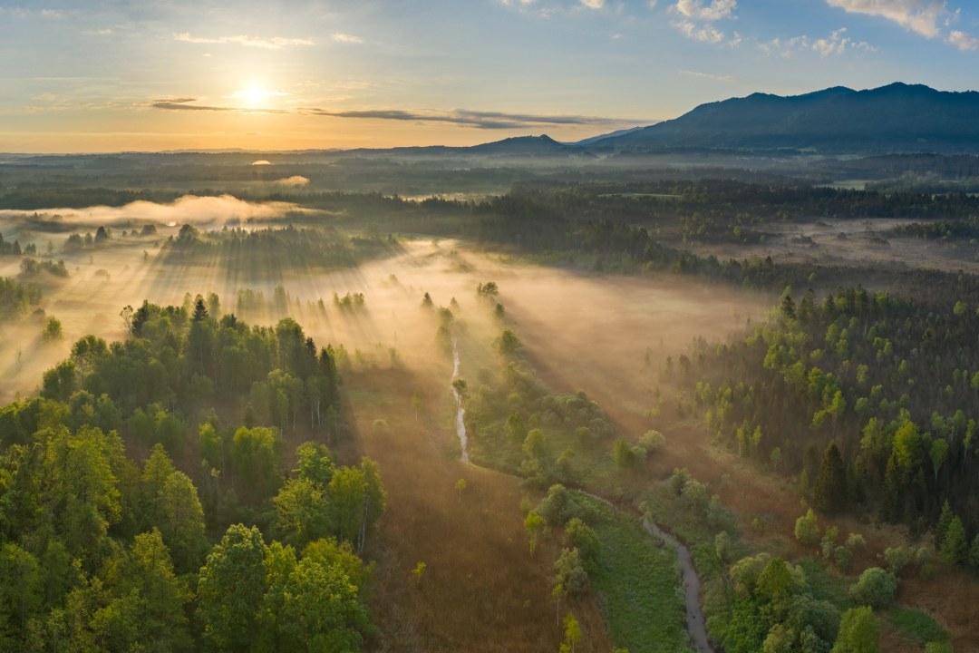 Oberbayerisches Moor | © Dr. Olaf Broders