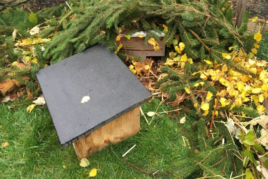 Igelhaus im Garten | © Martina Gehret