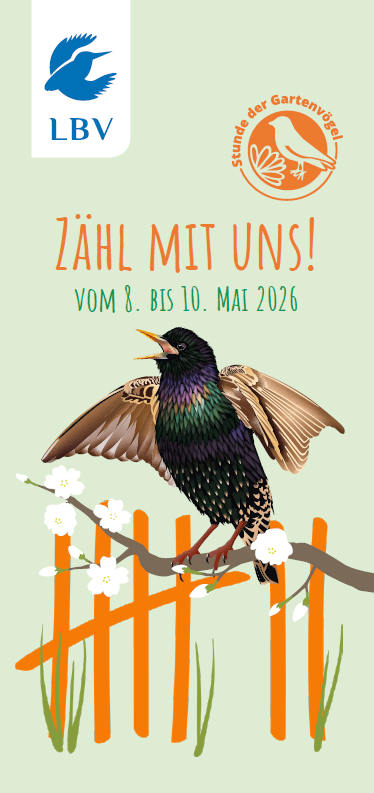 Meldebogen Stunde der Gartenvögel