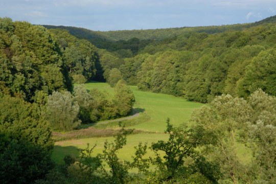 Ausschnitt des Steigerwalds | © Thomas Stephan