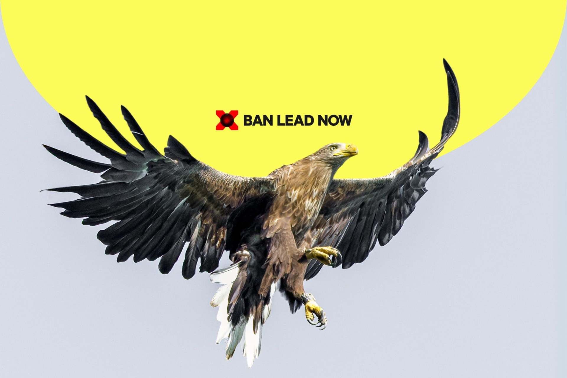 Ein majestätischer Adler fliegt vor einem gelben Hintergrund mit dem Slogan "Ban Lead Now" für den LBV.