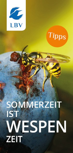 Cover LBV-Flyer Wespen