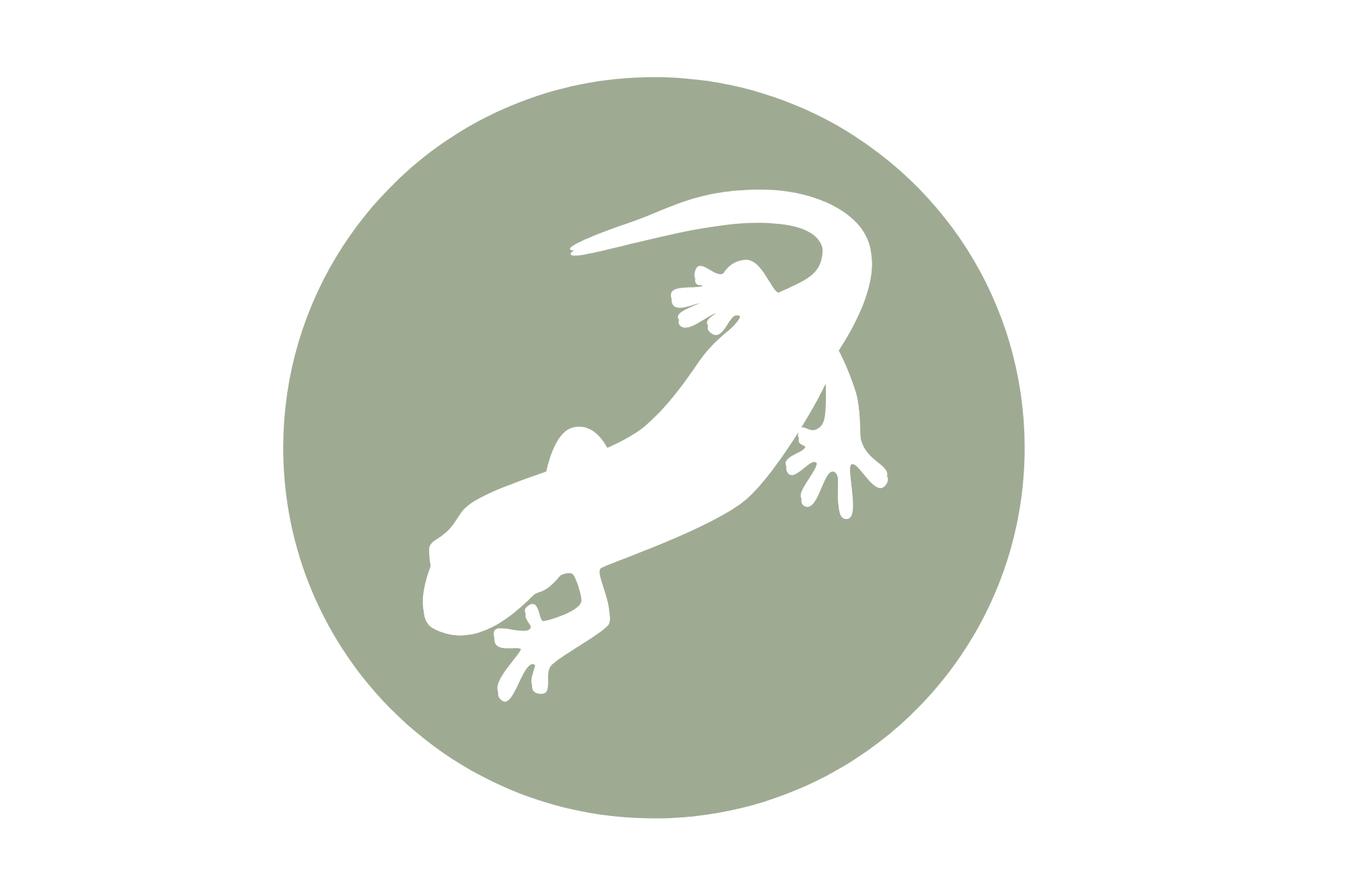 Alpensalamander in Bayern - LBV