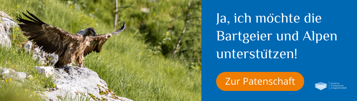 Banner Patenschaft Bartgeier & Alpen Bavaria | © Richard Straub
