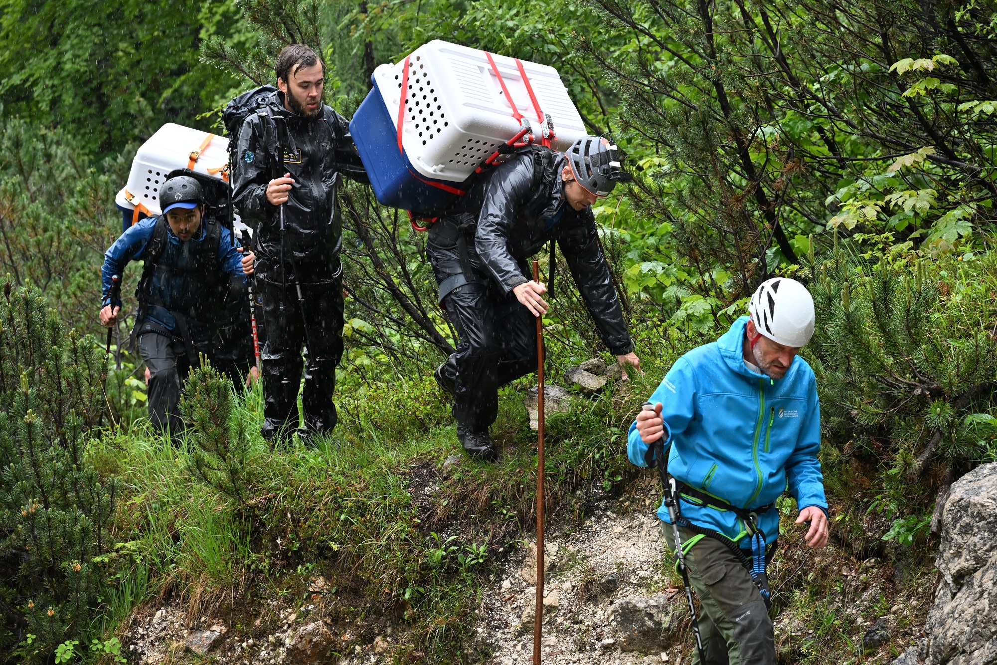 LBV Bartgeierteam in Aktion |© Hansruedi Weyrich