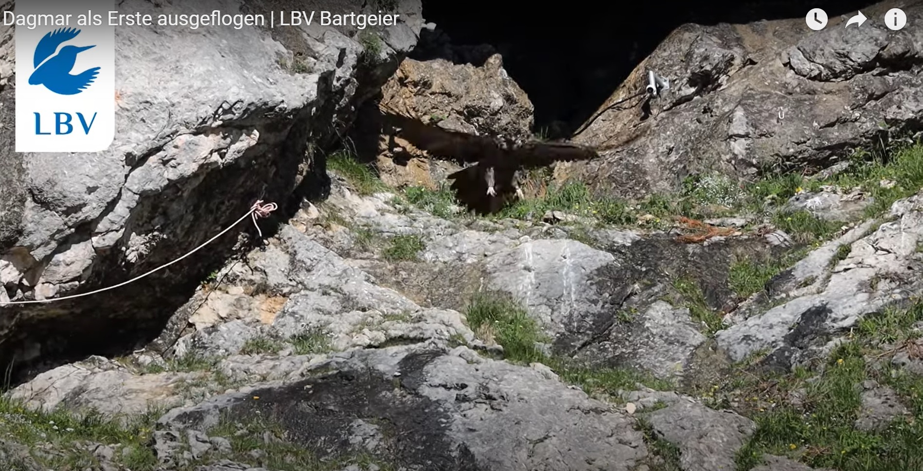 Dagmar beim ersten Start |© Screenshot LBV R. Straub