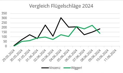 Flügelschlagvergleich |© D. Schuhwerk, LBV