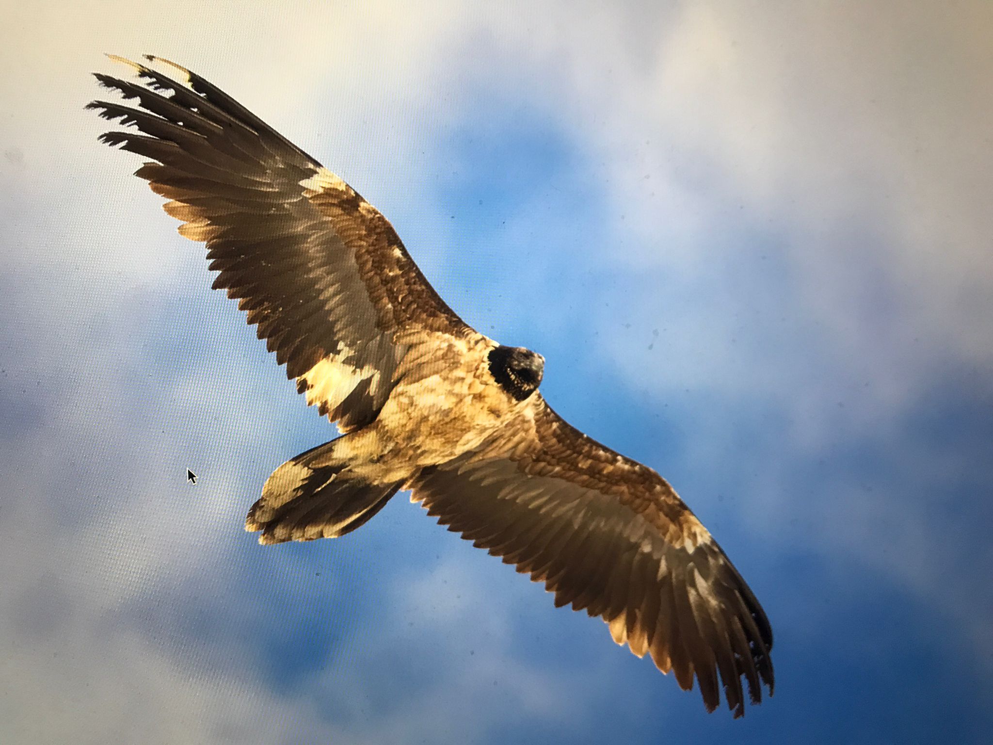 Nepomuk |© Hans Glader