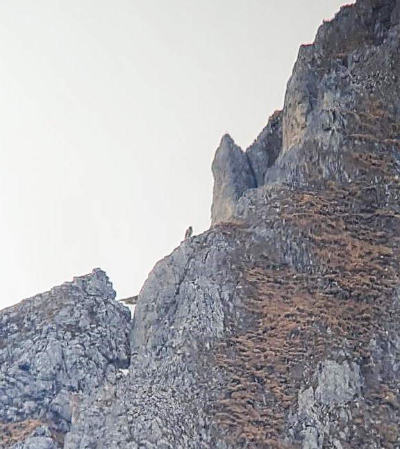 Bavaria sitzend  |© David Schuhwerk, LBV