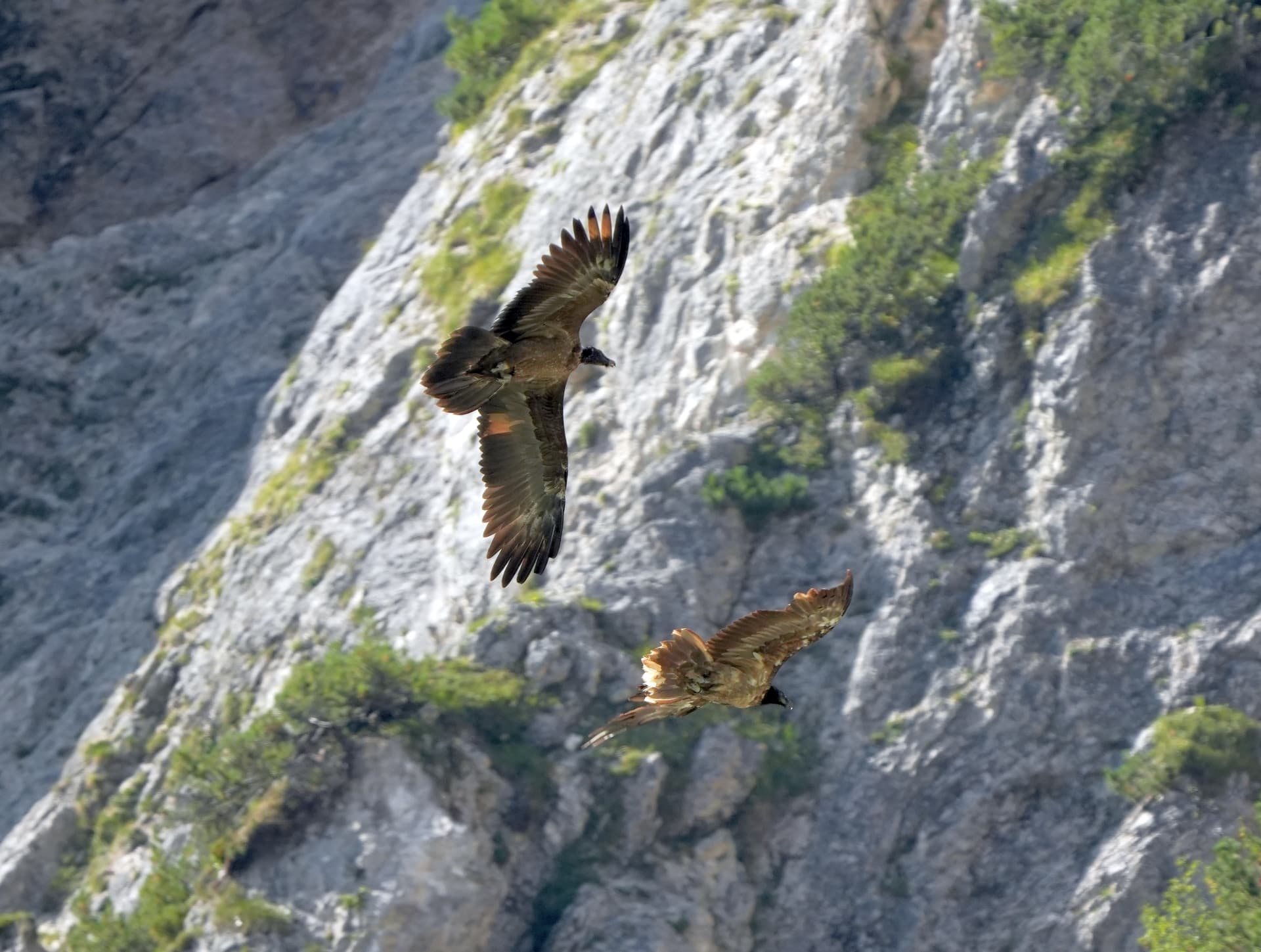 Generl und Vinzenz  |© Rupp Porti