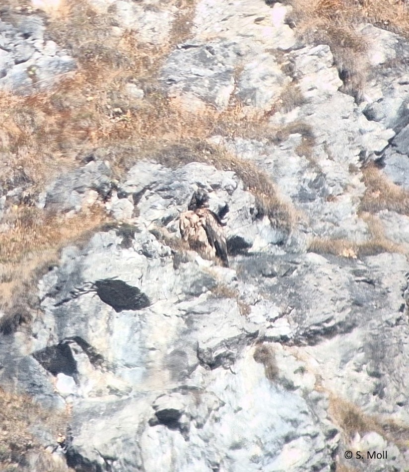 Dagmar am Fels sitzend  |© Silke Moll