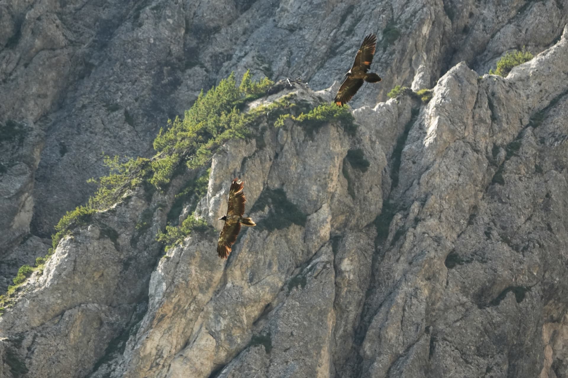 Generl und Vinzenz  |© Rupp Porti