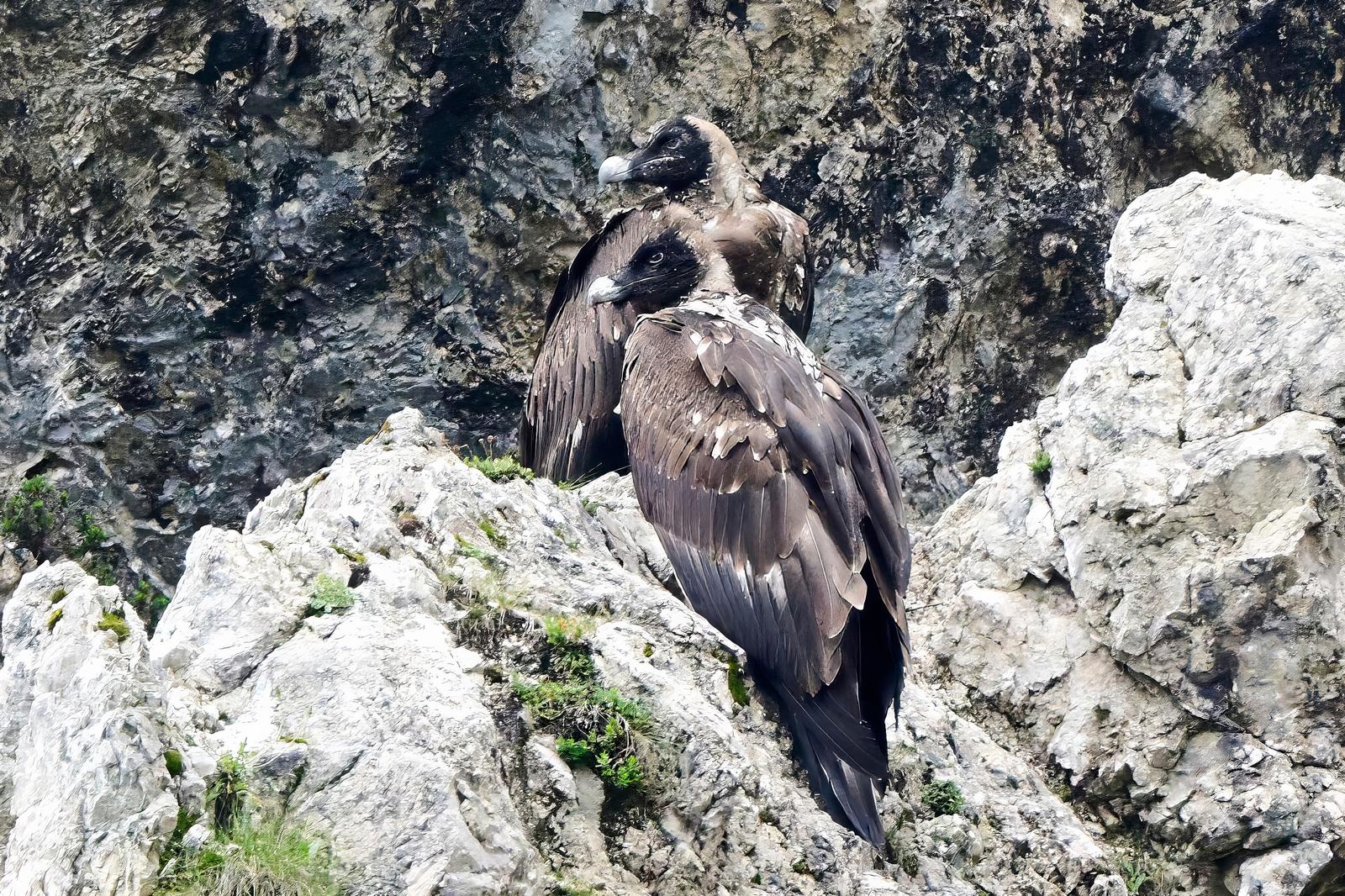 Generl und Luisa | © Hans Klein