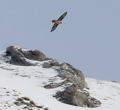 Dagmar oder Begleitung  |© Petra Schad