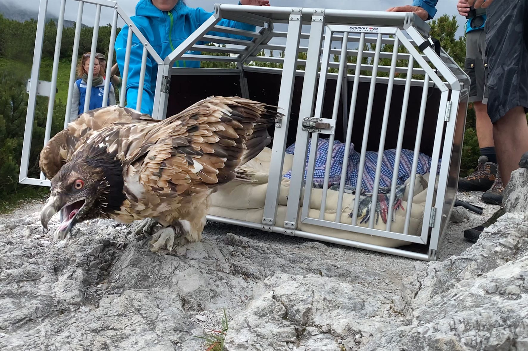 Vinzenz Freilassung |© Caro Scheiter, NPV